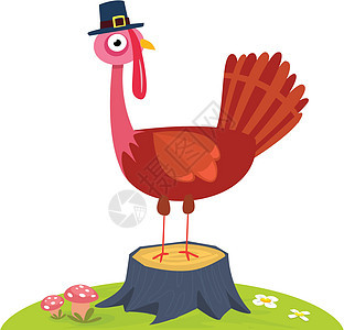 感恩节插图中的卡通有趣的火鸡鸟类人物 矢量孤立绘画羽毛感恩动物中风庆典翅膀漫画假期食物图片