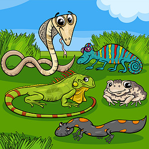 卡通爬行动物和两栖动物字符组图片
