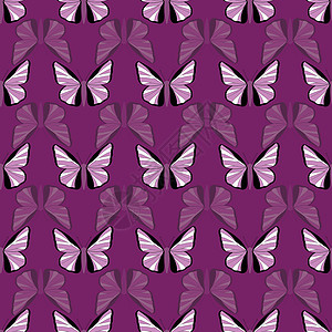 无缝矢量模式 带有紫蝴蝶设计图片