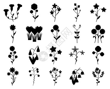 白色背景上孤立的一组野花轮廓 花朵矢量插图图片