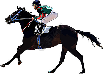赛马和赛马骑手在赛马比赛中 孤立于白色背景运动骑手骑士骑师冠军良种动物竞赛马场展示设计图片