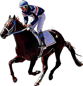 赛马和赛马骑手在赛马比赛中 孤立于白色背景杯子良种速度骑士动物马场竞赛运动骑手赌注图片