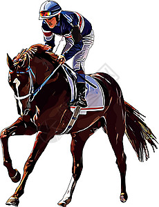 赛马和赛马骑手在赛马比赛中 孤立于白色背景骑手展示马场竞赛运动跑步冠军速度良种骑师图片