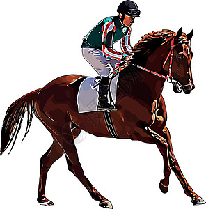 赛马和赛马骑手在赛马比赛中 孤立于白色背景运动马场速度骑士骑师杯子骑手马术动物竞赛图片
