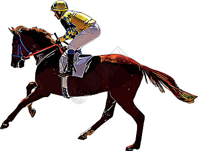 赛马和赛马骑手在赛马比赛中 孤立于白色背景马场骑士良种运动展示骑师骑手竞赛动物速度图片