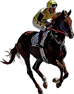 赛马和赛马骑手在赛马比赛中 孤立于白色背景竞赛骑手运动展示动物冠军马场杯子良种速度图片
