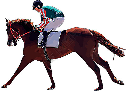 赛马和赛马骑手在赛马比赛中 孤立于白色背景骑手展示速度骑师竞赛良种骑士马术运动马场图片