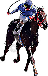赛马和赛马骑手在赛马比赛中 孤立于白色背景赌注良种竞赛动物速度冠军运动马术跑步马场图片