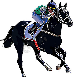 赛马和赛马骑手在赛马比赛中 孤立于白色背景冠军动物竞赛运动展示跑步骑手速度马术骑士图片