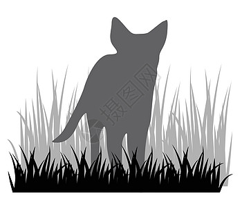 草地标志上的休光狗图片