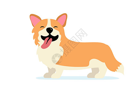 快乐的狗微笑 可爱的微笑威尔士柯基犬图片