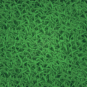 实事求是的明亮绿草 草原背景     矢量植物群生长植物叶子墙纸季节横幅雏菊花园草本植物图片