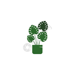 花锅图标标识设计生长植物群园艺花瓣植物叶子绿色花盆花园植物学图片