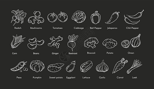 手工绘制的蔬菜成套矢量说明图片