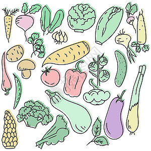 一组精致的蔬菜涂鸦 各种类型的卷心菜 以及其他有用的蔬菜和草药 用于烹饪菜肴 手绘图片
