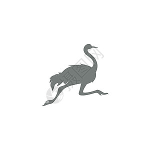 Ostric 图标标志标识设计插图野生动物农场动物黑色荒野脖子动物园图片
