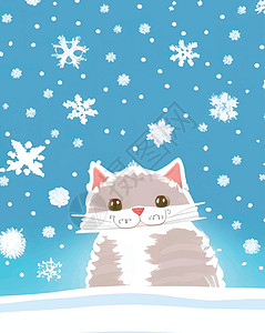 冬天下雪了 还有我们可爱的朋友猫朋友们动物毛皮宠物哺乳动物犬类友谊乐趣工作室小猫图片