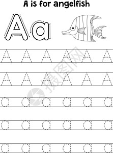 ABC 彩色A类动物追踪信图片