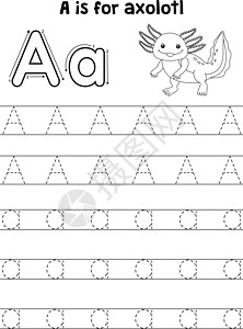 Axolotl动物追踪信件ABC 彩色页面 A图片