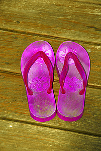 翻翻浮 雏菊 赤脚 脚 拖鞋 漂亮的 女性化的 闲暇 美丽图片