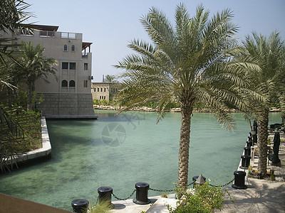 迪拜购物中心 海湾 旅游 阿联酋 商业 项目 购物者 埃米尔图片