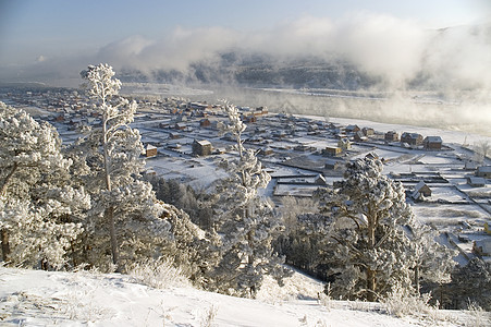 冬季风景 粉末 雪松 针叶 逃离 灰蒙蒙 美丽的 树林 冬天背景图片