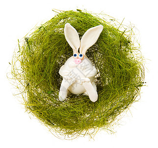 绿巢中的白兔子图片