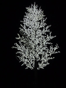 树枝上有白灯的人工树背景图片