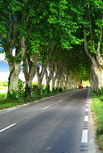 法语国公路 高速公路 内衬 户外 郁郁葱葱 自然 驾驶 车道图片