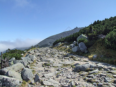 山 森林 日落 树木 夏天 雨 蓝色的 场地 树 山峰图片