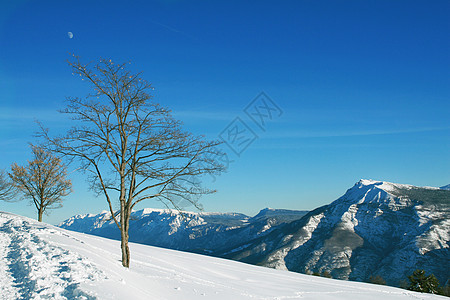 高山高山雪地图片