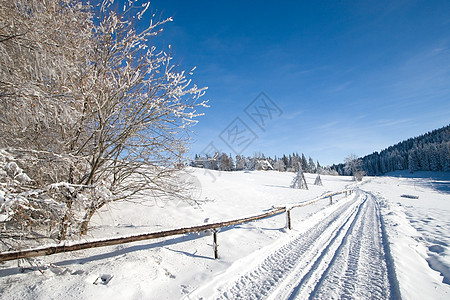 冬天 冰 乡村的 森林 阳光 蓝色的 冻结的 风景图片
