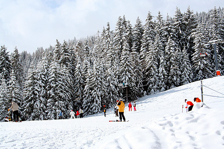 山坡上的滑雪者 宁静 欧洲 冬天 美丽的 活动 户外图片