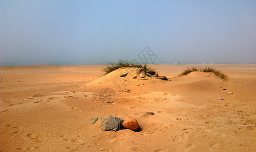大自然的力量 沙漠的福吉日图片