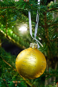 圣诞树装饰 玻璃 假期 庆典 传统 新年 庆祝 装饰风格图片