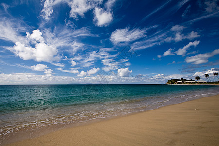 海滩 爱 浪漫的 岛屿 热带 天空 天堂 棕榈图片