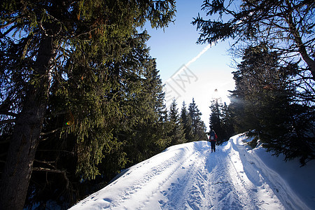 跨国滑雪 白色的 北欧的 活动 挪威 户外的 假期 冬天图片