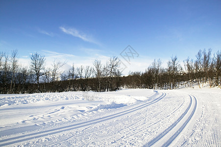 跨国家滑雪拖车 小路 森林 冻结 蓝色的 运动背景图片