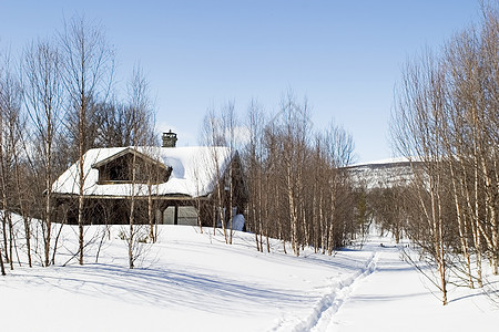 马赛房子和树冬季森林客房 爬坡道 干净的 山 休息 冰 二月 雪背景