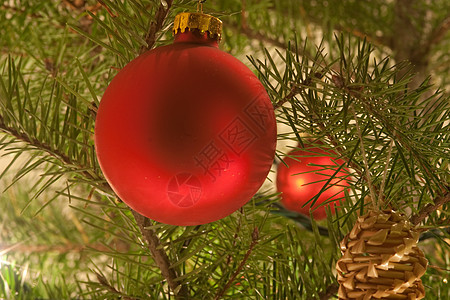 圣诞装饰品 松树 季节 冷杉 圣诞节 装饰风格 礼物图片
