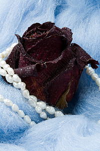 红干玫瑰 波尔多 美丽的 卡片 珠子 投标 明信片 花 爱图片