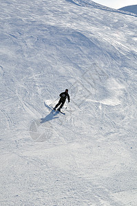 雪雪粉雪中的滑雪者 运动 老了 冰 行动 乐趣 闲暇图片