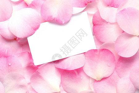 粉色花朵标签粉粉金属礼品卡背景