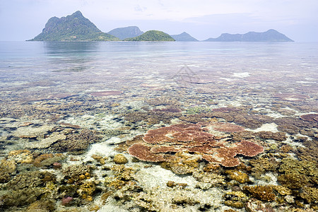 珊瑚礁和岛屿 海 异国情调 自然 太阳 海岸线 冲浪图片