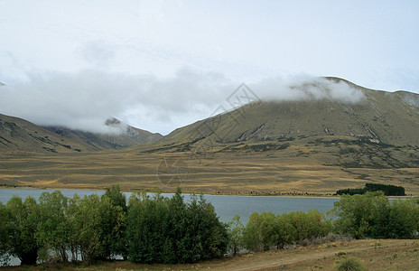 库克山在草原上 自然 旅行 风景优美的 岛 高的 风景 户外的图片