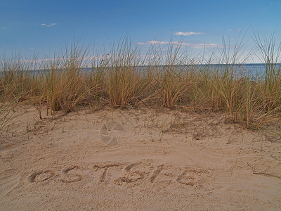 波罗的海 假期 海滩 成本线 海洋 地平线 奥斯特湖 蓝色的 旅游图片