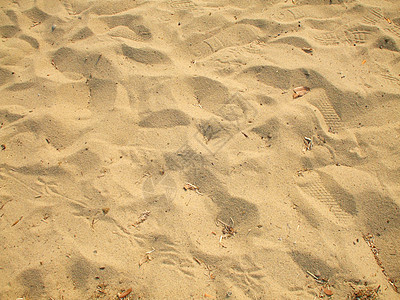 沙 沙漠 支撑 海滨 假期 粒子背景图片