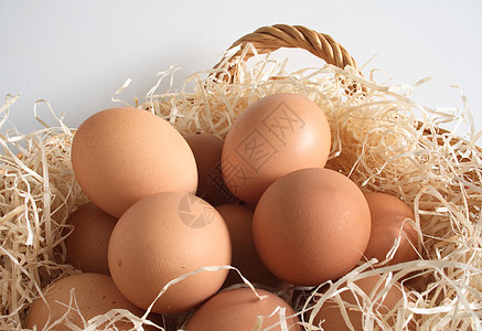 鸡蛋在篮子里 复活节 有斑点的 水煮蛋 食物 刨花 新鲜的 复活节彩蛋图片