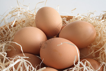 鸡蛋在篮子里 早餐 一窝鸡蛋 寻找复活节彩蛋活动 营养 棕色的图片