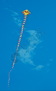 蛇风筝 玩具 艺术 假期 蓝天 航空 夏天图片